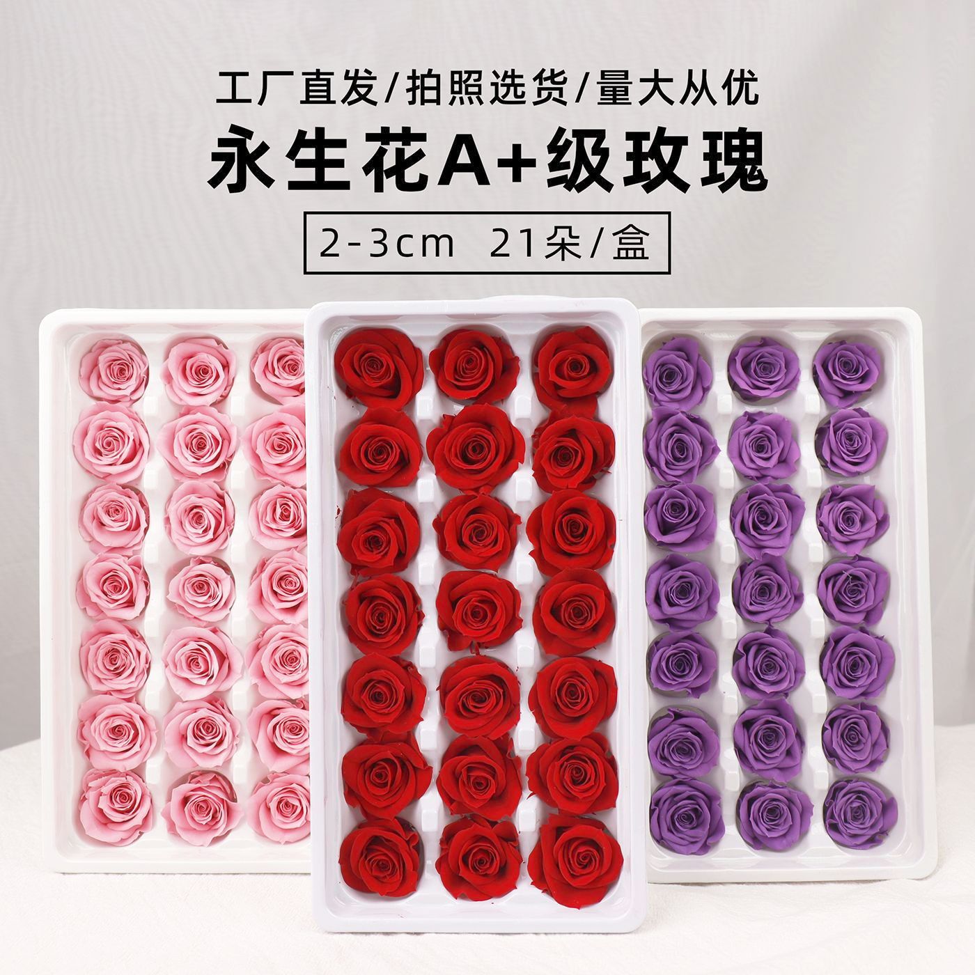Rosa Preservada A+ de 2-3 cm, Flor Real, Material Floral para el Día de San Valentín, Material Floral al por Mayor de Yunnan, Regalo para el Día de la Madre, Material Floral para Manualidades