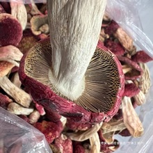 ��������ɽҰ���t����؛��t����؛���ӹ��tĢ�������t����؛