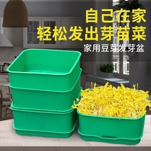 �¿�l��ѿ�������ٰl��ѿ���÷Nֲ��ѿ�趹ѿ�C�lѿ�C�N�ˌ�����