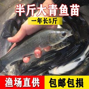 �ش���·���~�烞�|���ˮ�~��ˮ���Bֳ������Ҳ�ʳ�����~��