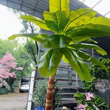 ����ֲ�����˽��٘��҃ȿ͏d���ͷ����Gֲ���԰Ž�������辰�[��