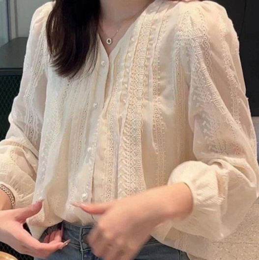 Unique design lace long-sleeve shirt, autumn women's clothing, 2026 new embroidered blouse, base shirt, French-style top
