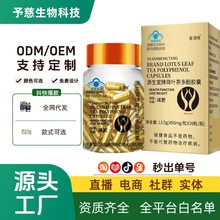 减肥糖片天使金胶囊加强版保健食品顽固型左旋肉碱茶多酚片代发
