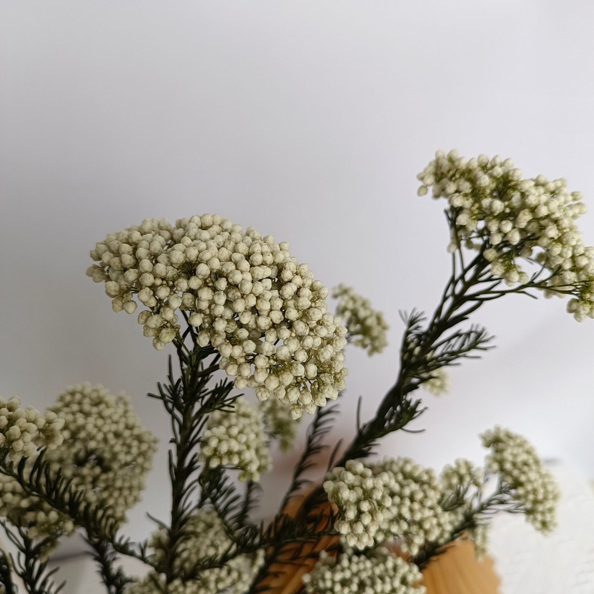 782ce0a7d9279c6b9d0fb963447550