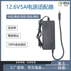12.6V5A 63W 産業用制御機器、オーディオおよびビデオ機器用の 2 線式リチウム電池アダプター