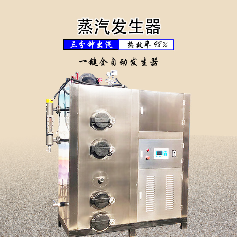 全自动蒸汽锅炉食品厂蔬菜漂烫配套立式颗粒蒸汽发生器节能热源机