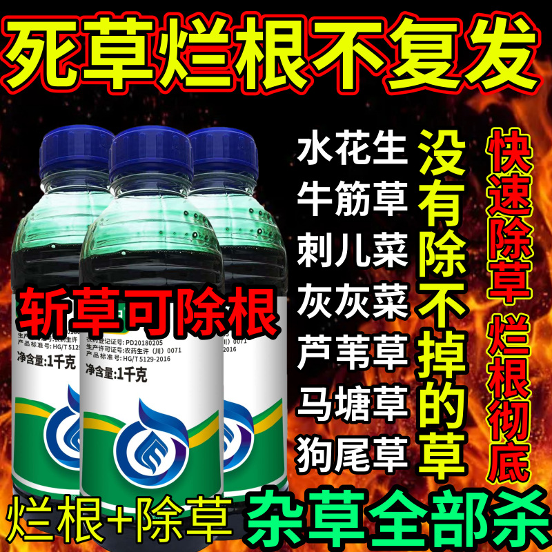 死草烂根不复发死根草剂斩草除根荒地果园专用除草剂草铵膦除草