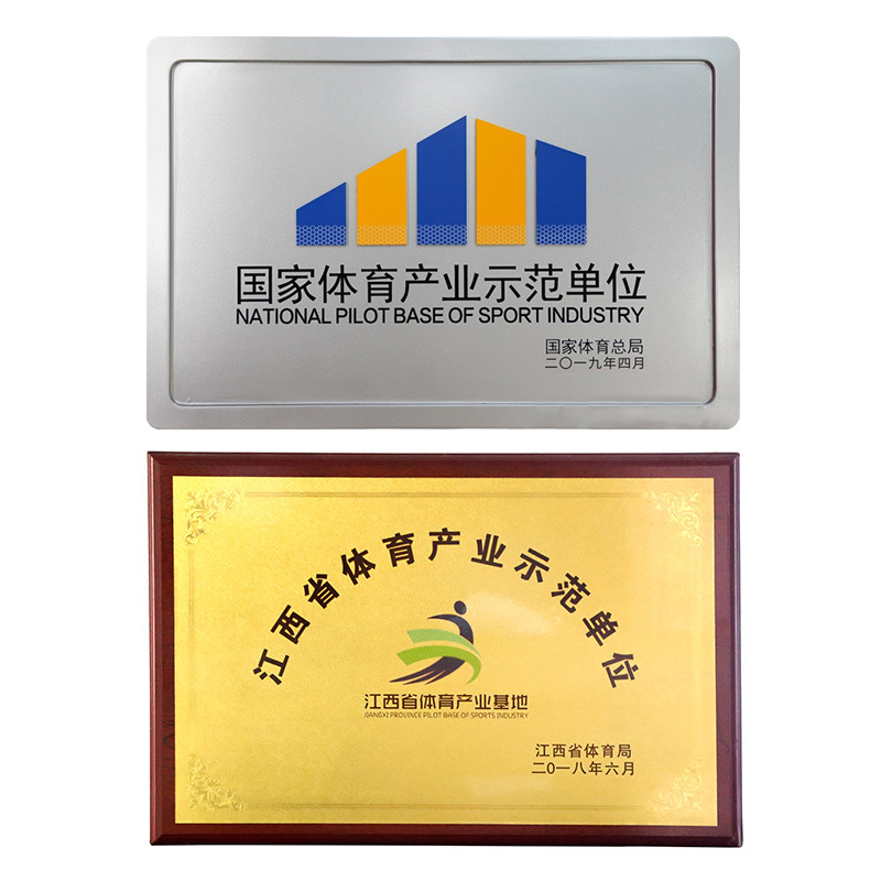 Protector de piernas ZTTY para artes marciales, Muay Thai, Sanda y boxeo, protector de piernas profesional con protección para el tobillo y espinilleras gruesas.