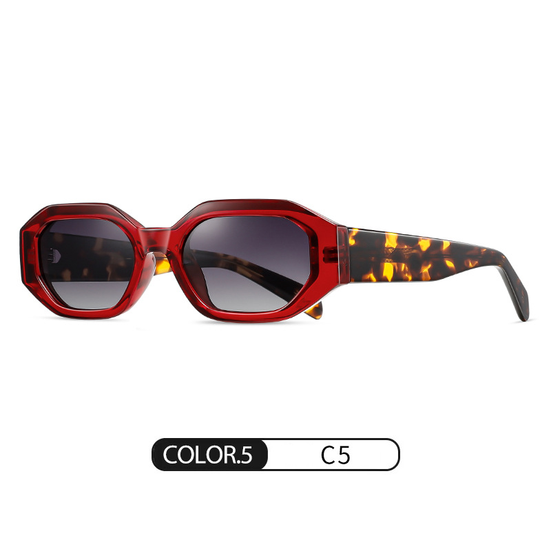 Rojo vino brillante C5 gris azul progresivo