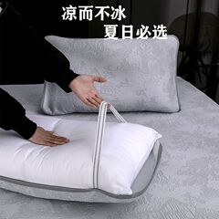 夏クールアイスビーンズ枕カバーペア家庭用拡大包帯スタイル 50*80 ダブルシングルクール枕カバー