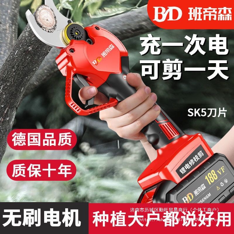 德国进口电动剪刀修枝剪果树树枝充电式无线锂电园艺园林直销
