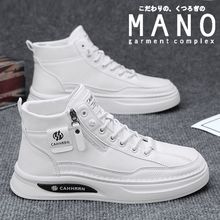 ManoЬ2025[ЬиߎͰЬٴˮ\eƤЬ