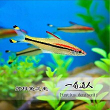 һü�����~���w�Ꭷ�~�^�p�~�ݸ��~Ⱥ���~С�͵�ˮ�~�ɻ��B�����~