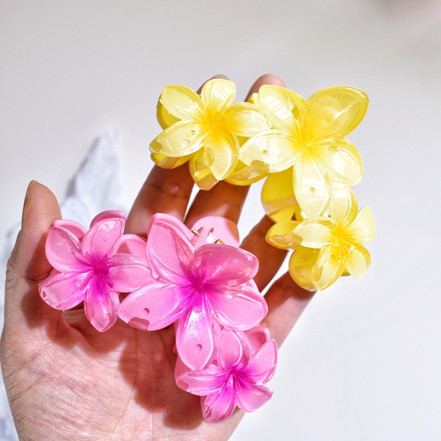 86g Weight Hair Clip, Hair Claws Hair Accessories Type 1 Piece Quantity Holiday, Daily, Selfie Occasion Plastic Material Flower, Fish, Shark, Plumeria Pattern All Seasons Season Women's Gender Cute Style Cute Women's Flower Fish Shark Plastic Hair Clip Hair Claws 16