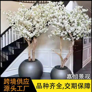 ֱ�N����ѻ����辰���Q�҃�����ٙѻ����쾰cherry blossom tre