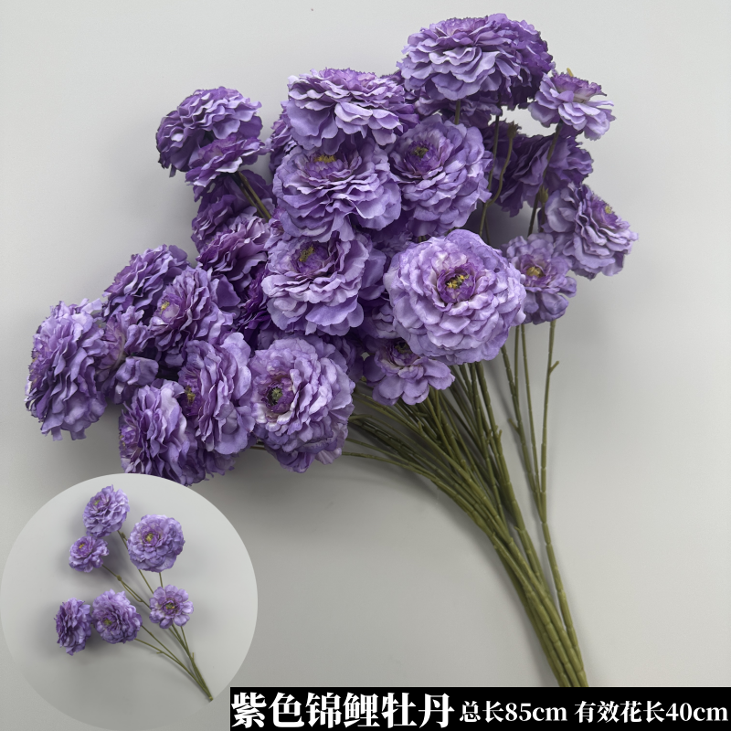 에메랄드 그린 퍼플 잉어 모란