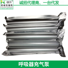 批发消防呼吸器充气泵 呼吸器充气泵 活性炭分子筛一次性过滤芯