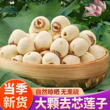 【新货】莲子干货湖南湘潭严选莲子新鲜磨皮去心白莲子百合