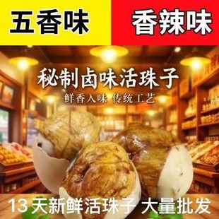 ���r13����������������u�ߵ�䓻�����ʳ��հ��b���������l���l