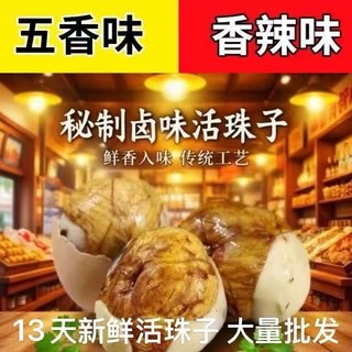 新鲜13天活珠子五香麻辣鸡胚蛋钢化蛋即食真空包装活珠子批发代发