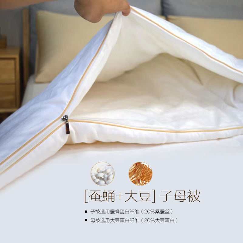 Four seasons Cotton Silkworm chrysalis Soybean Picture The quilt core Silk quilt summer quilt pure cotton protein quilt spring and autumn