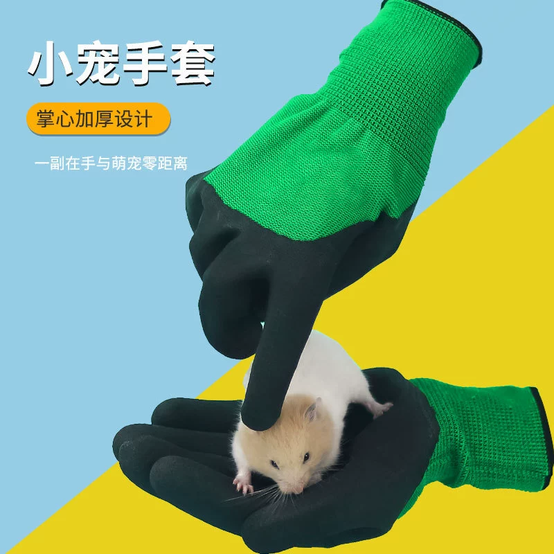 Перчатка против укуса попугай хомяк мышь ловит крысу перчатки домашнее животное золотой медведь мышь ловит мышь