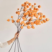 滨ɻ[Oß\仨ٻ滨߼б