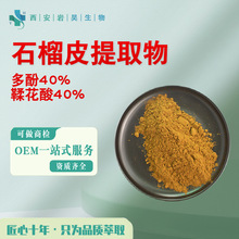石榴皮提取物 多酚40%鞣花酸40%比例浓缩支持出口级标准 石榴皮粉