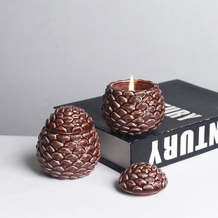 �羳�ɹ��մ���޹Ϟ�T�չ�diy��Ϟֲ�ﾫ�͠T̨������Ճ����