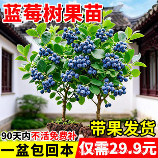 �{ݮ����������ش�̖��������Y���҃����Ϸ������ļ��Nֲ�Gֲ��