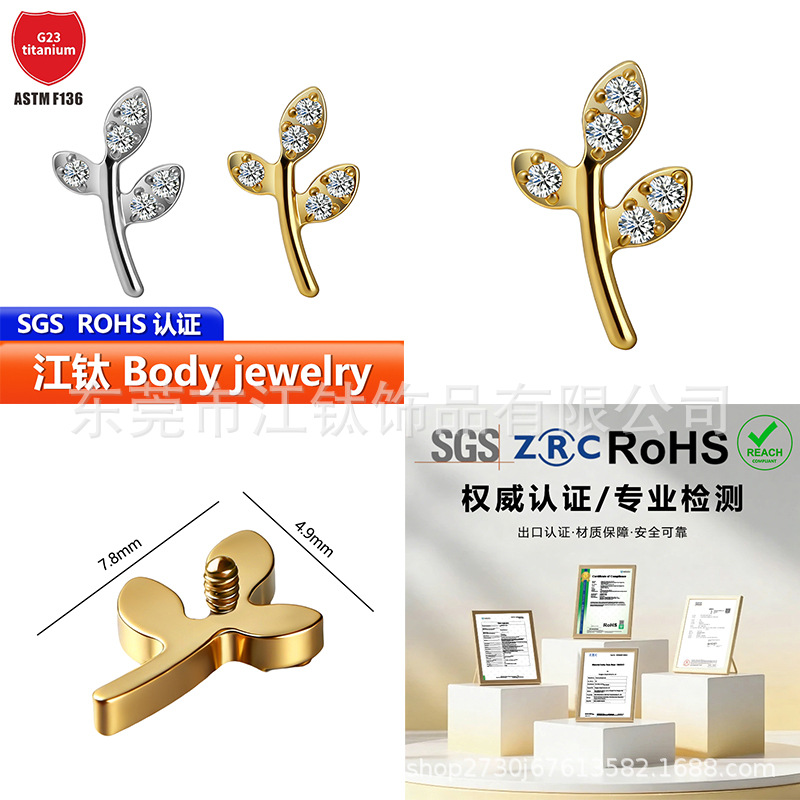 Pointed titanium steel lip stud product view