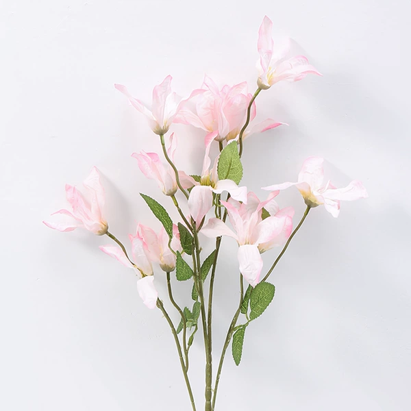 Pink Lily