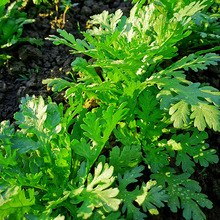 С�~����N�� ��U����� �̨�ļ��߲˻ʵ۲� �r���÷N��β���