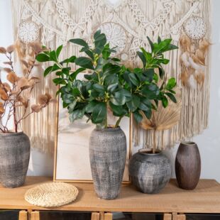 ���m�~���~���滨�S�ҼҾ��b�c������õ�廨���ٻ�INS�L�羳