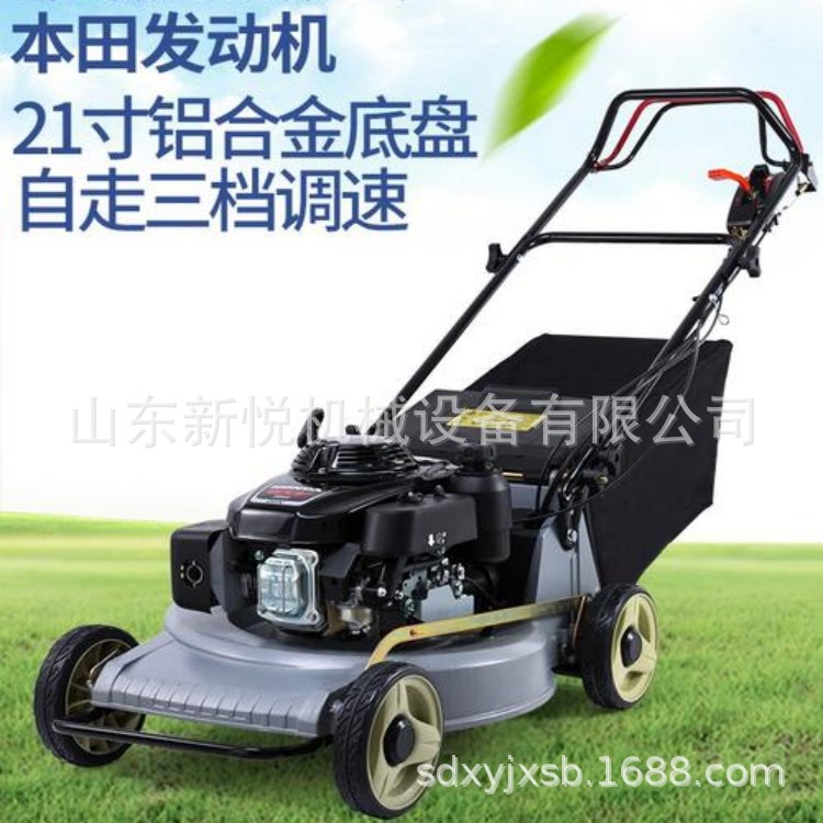 手推式自走式汽油割草机 20寸四冲程汽油剪草机 农林果园割草机