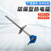 PT100熱電阻帶法蘭裝配式熱電阻 法蘭式防爆熱電阻溫度傳感器