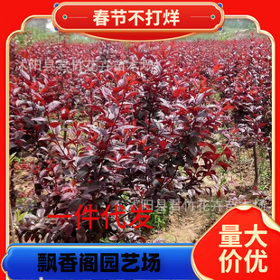 һ�����l���~��С�����~������������~����t�~����ޱ����G����