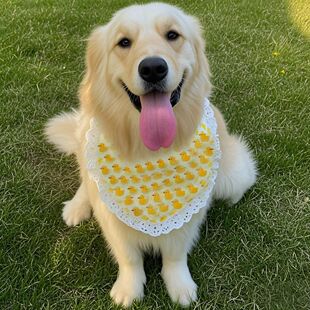 ���ﹷ��ˮ����С�д���Ȯ�����_ĦҮ�ɐ۽�ë��ʿ�氢��˹�Ӈ���