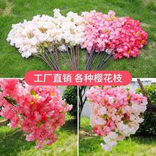 ����ѻ�֦�һ�֦�ٻ��b��҃���ѻ����c�滨���Ͻ�������b�