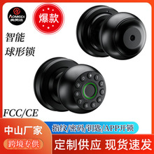 智能球形锁室内木门卧室办公室公寓密码锁跨境美规涂鸦APP指纹锁