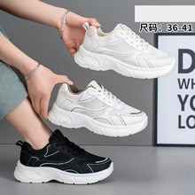 2025�ϱ��������¿�Ůʿ�\��Ь�w��Ь͸�����eЬ���QЬ����Ь