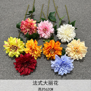 ���������滨�鷿���û�c�bƵ걳���廨���ŵ�픷��滨�[��