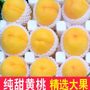 ���ӬF؛������ҕr�������^�����rˮ����������ֱ�l���S�ҟo