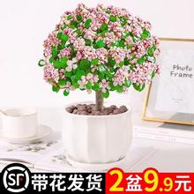 ��֦���~����ˮ�����ֲ���҃Ȼ����k���Ϙ��Gֲ�������B�����辰