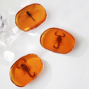 Handmade Amber Ornaments Specimen Dragonfly Yellow Scorpion Slice Resin Ornaments Handicrafts Handle Pieces