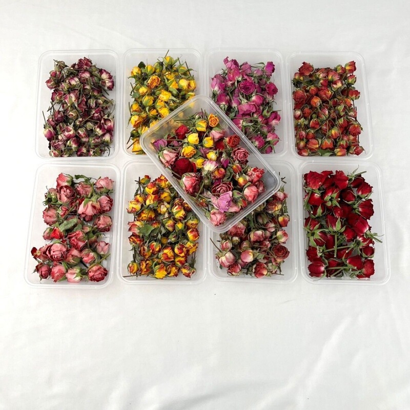 Multi-head rose dried flower ins rose bubble diy epoxy photo frame dried flower material natural dried mini photo