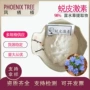 蜕皮露水草提取物