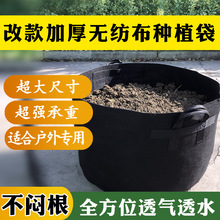 黑色无纺布种植袋全新升级款户外加厚超大种树种花特大美植袋花盆