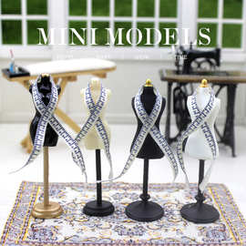 DOLLHOUSE微缩场景模型 娃娃屋配件展示架迷你模特尺子组合B222-3