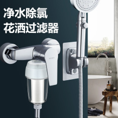 Water heater shower water purifier filter washing machine pre-filter bottle descaling scale remover water purifier filter 